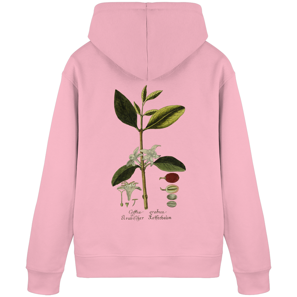 Exponat No. 01: Coffea Arabica (Hoodie) - Organic Basic Hoodie