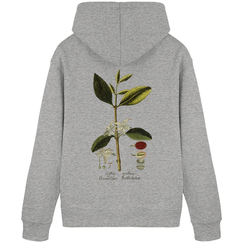 Exponat No. 01: Coffea Arabica (Hoodie) - Organic Basic Hoodie