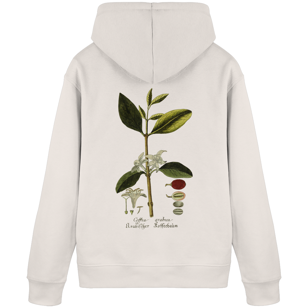 Exponat No. 01: Coffea Arabica (Hoodie) - Organic Basic Hoodie