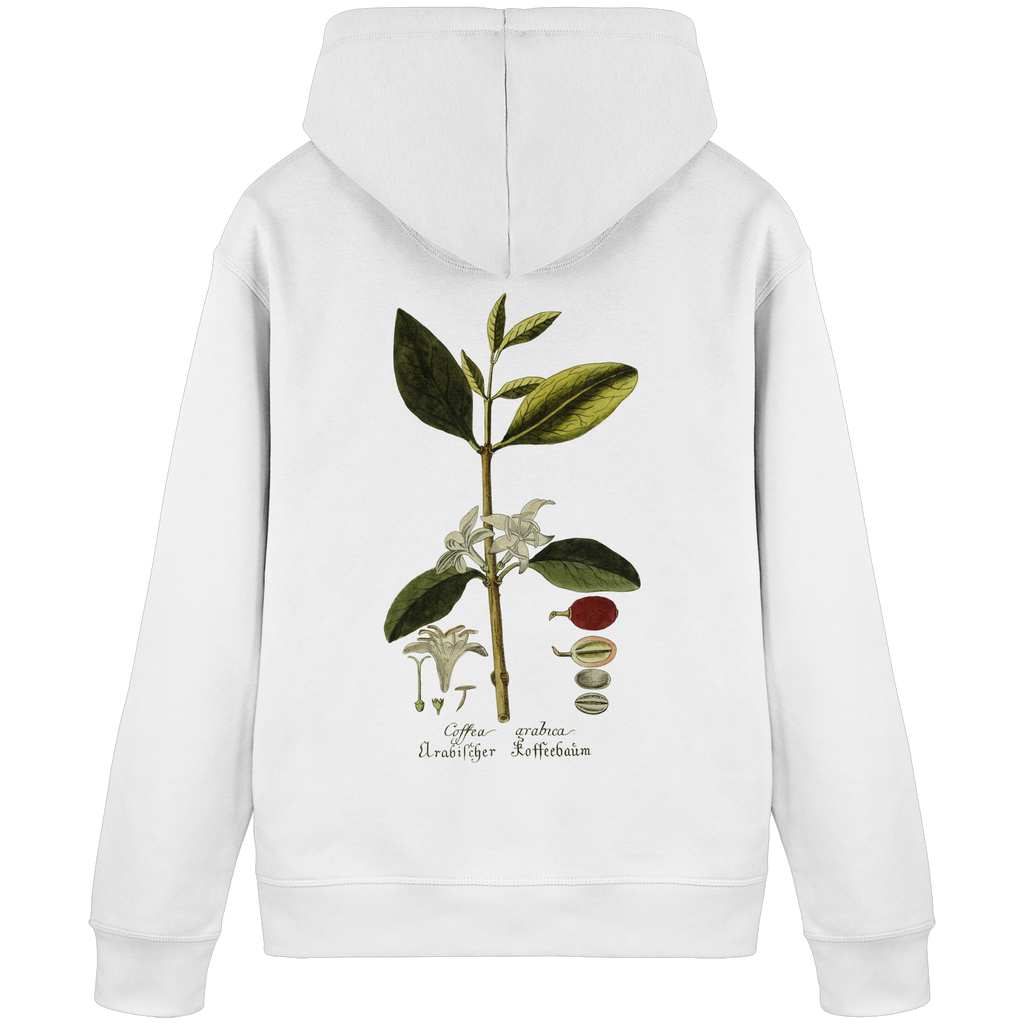 Exponat No. 01: Coffea Arabica (Hoodie) - Organic Basic Hoodie