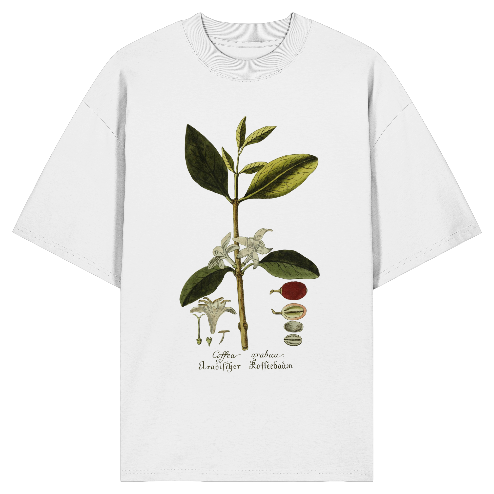 Exponat No. 01: Coffea Arabica - Organic Oversize Shirt